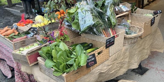 ECOSS Organic Market Shop 1