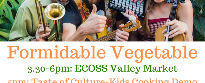 Formidable Vegetable Sound System at ECOSS