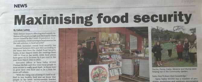 Star Mail News Food Security Article