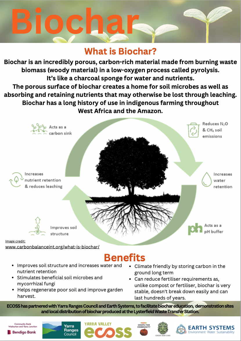 Biochar Poster 2024